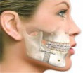 /album/galeria-de-fotos%3a-servi%c3%a7os/buco-maxilo-facial-jpg/